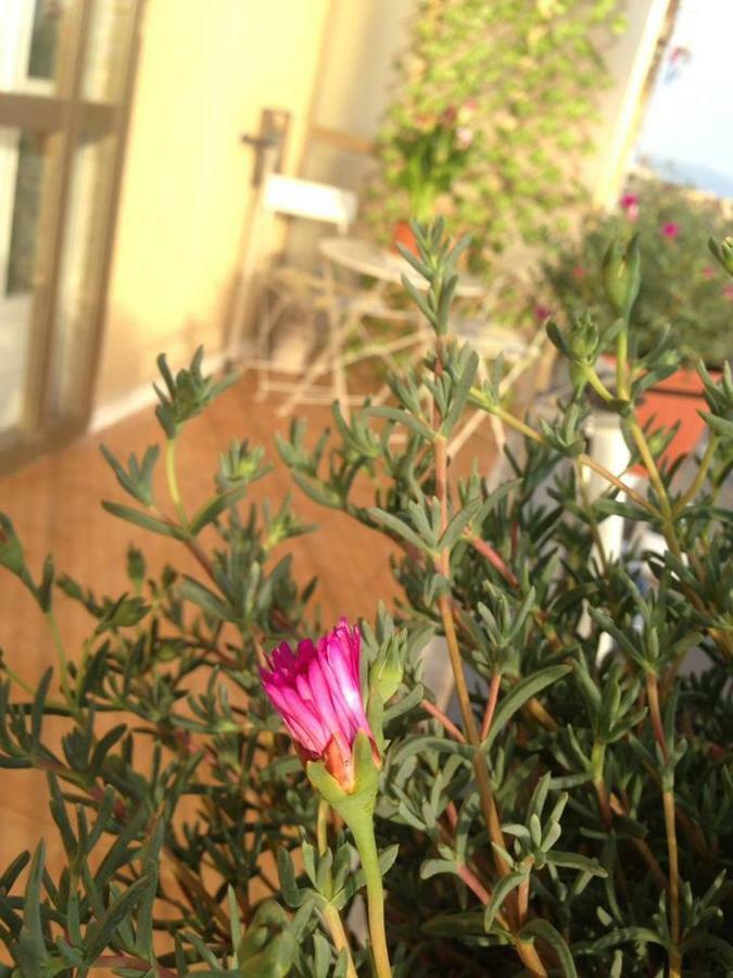 Leucosia Bed & Breakfast Salerno Exterior photo